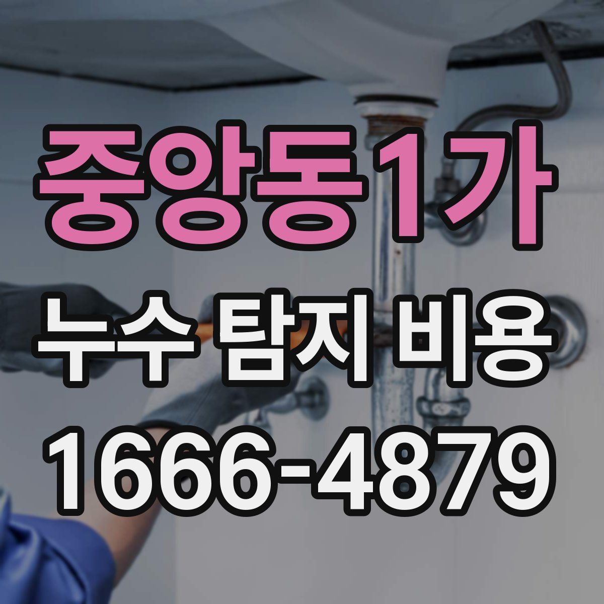 중앙동1가 누수 탐지 비용