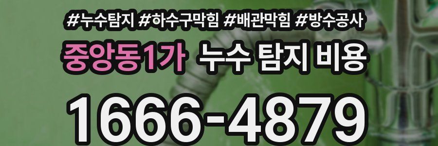 중앙동1가 누수 탐지 비용