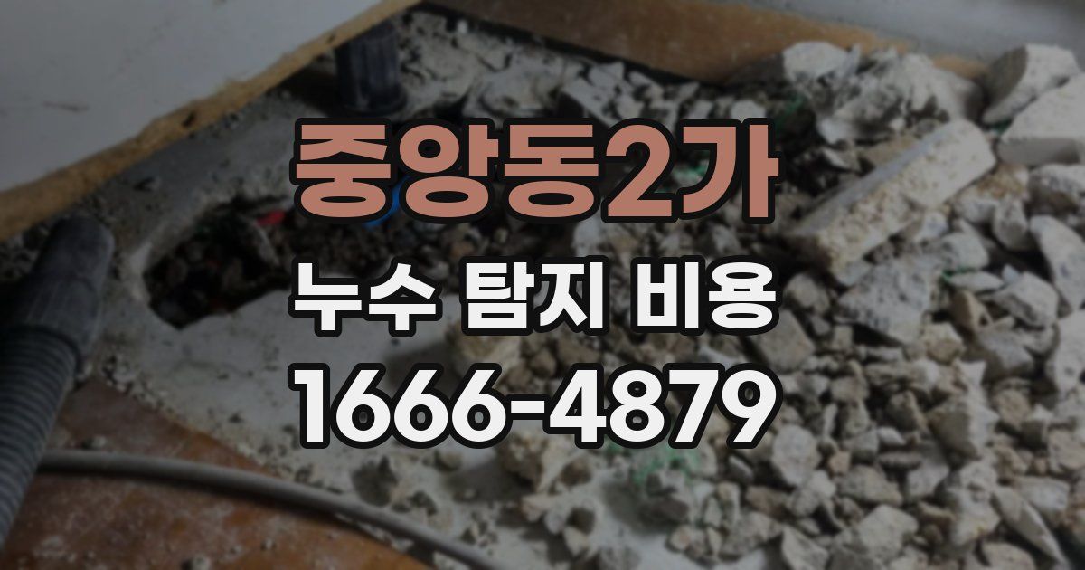 중앙동2가 누수 탐지 비용
