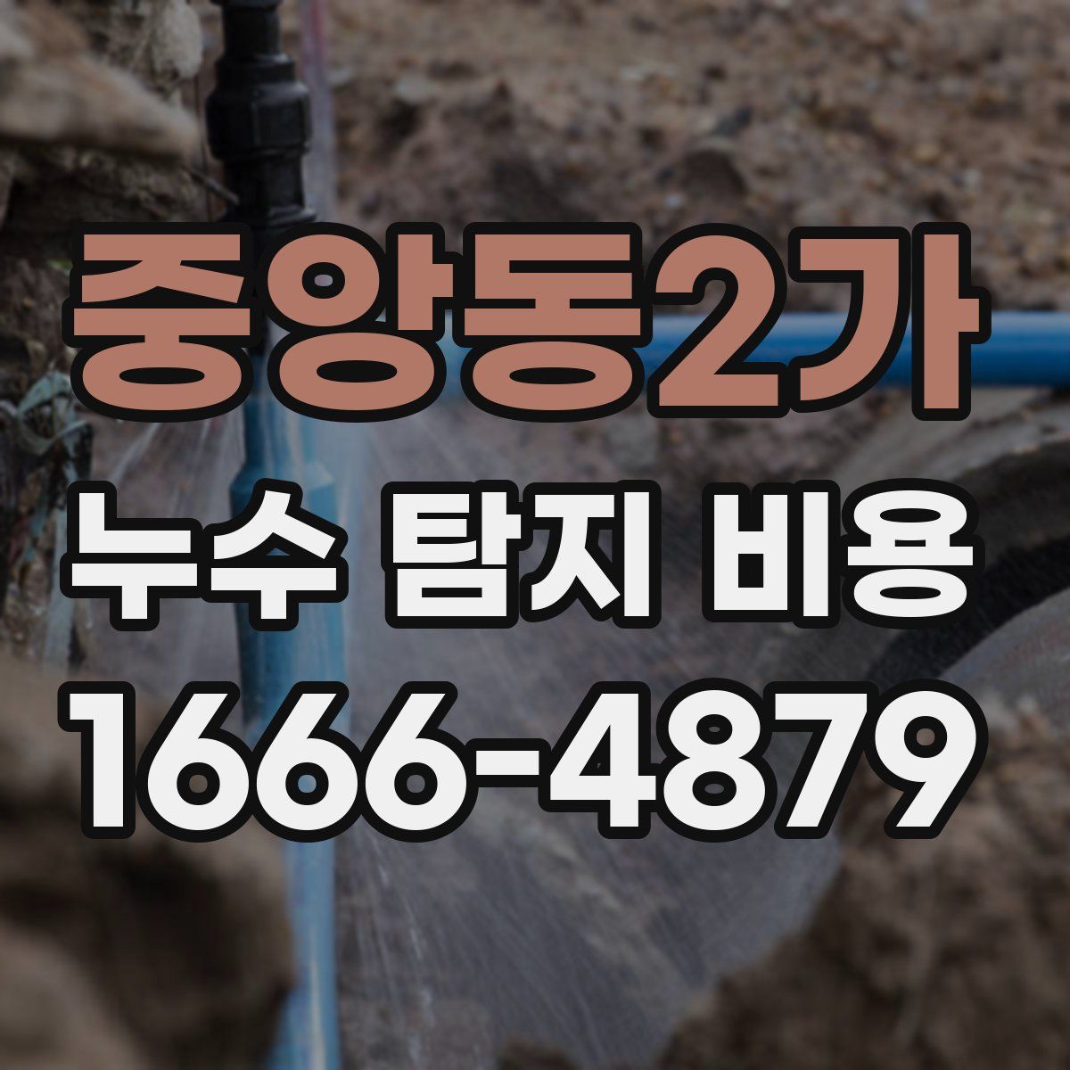 중앙동2가 누수 탐지 비용