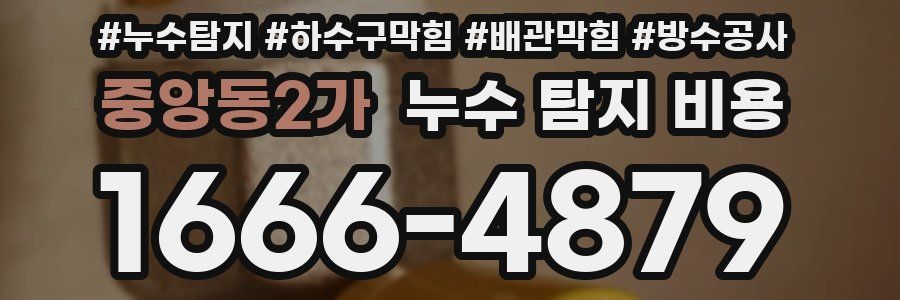 중앙동2가 누수 탐지 비용