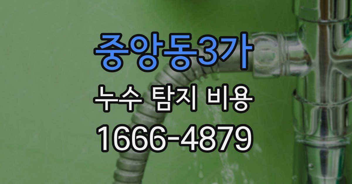 중앙동3가 누수 탐지 비용
