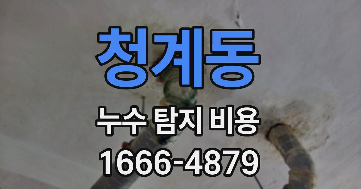 청계동 누수 탐지 비용