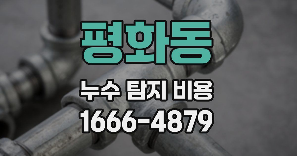 평화동 누수 탐지 비용