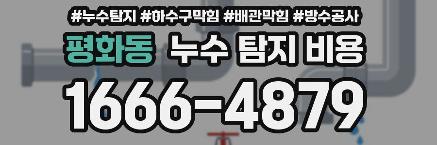 평화동 누수 탐지 비용
