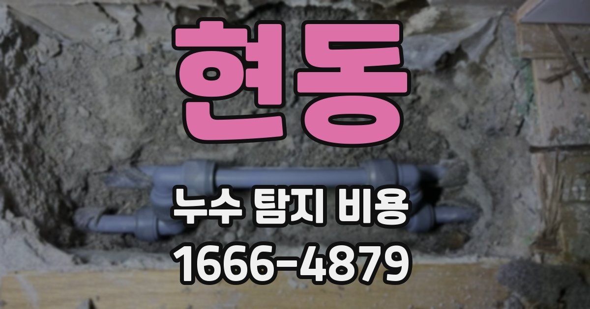 현동 누수 탐지 비용
