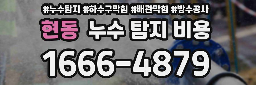 현동 누수 탐지 비용
