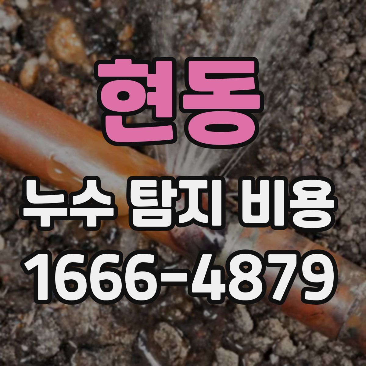 현동 누수 탐지 비용