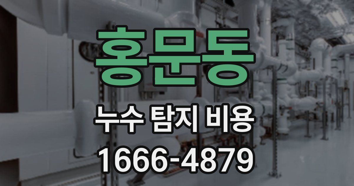 홍문동 누수 탐지 비용