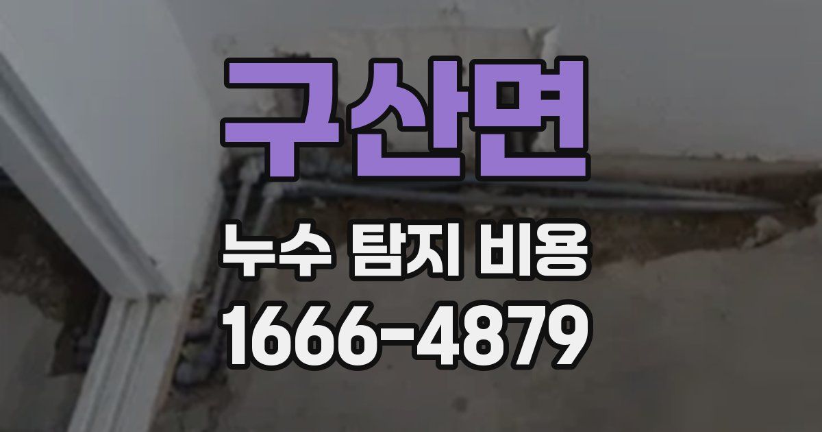 구산면 누수 탐지 비용