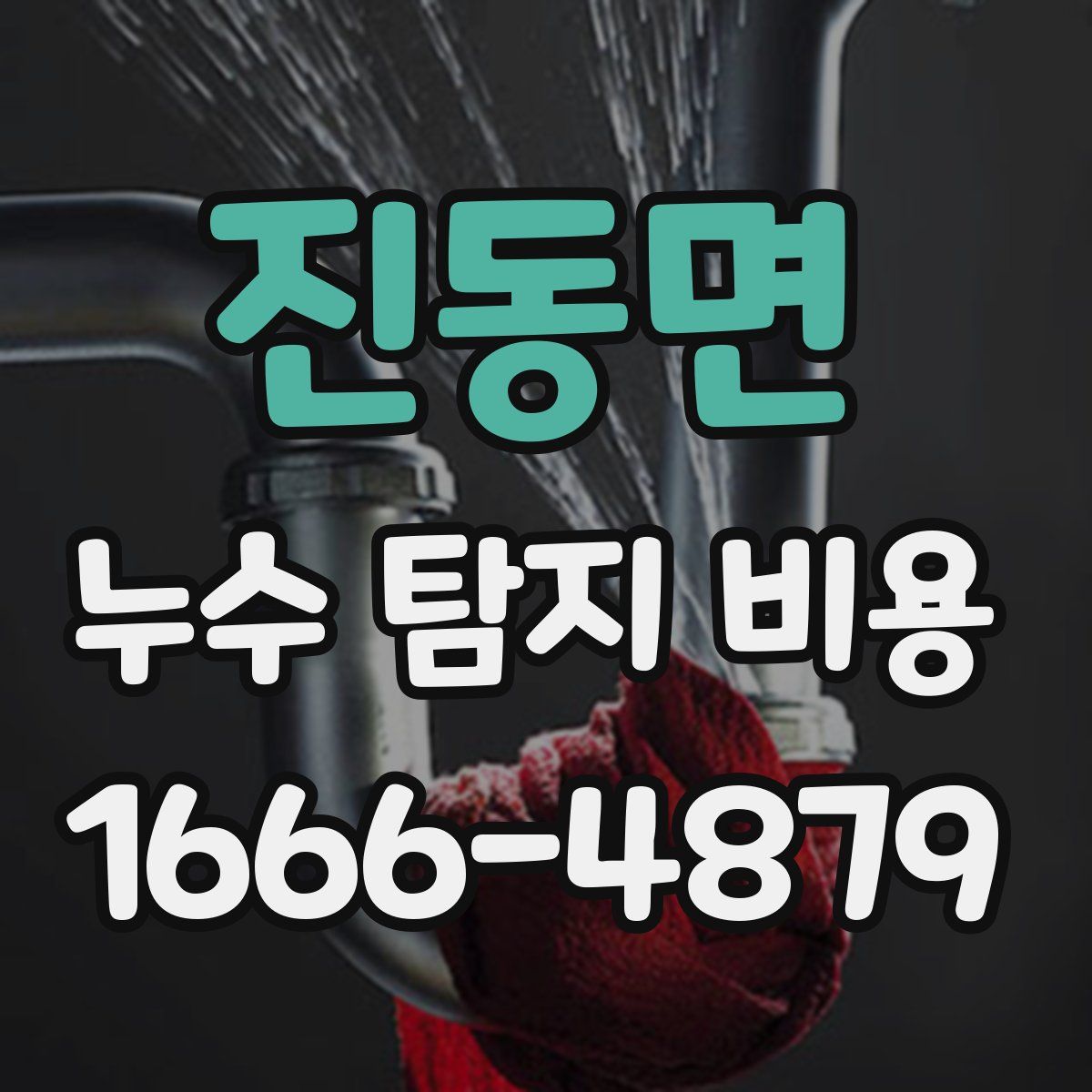 진동면 누수 탐지 비용