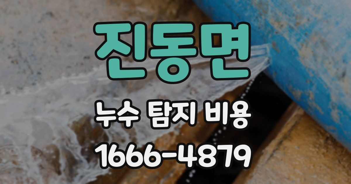 진동면 누수 탐지 비용