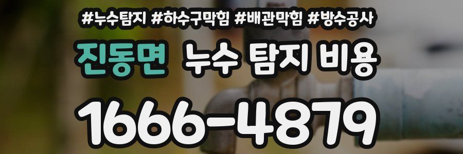 진동면 누수 탐지 비용