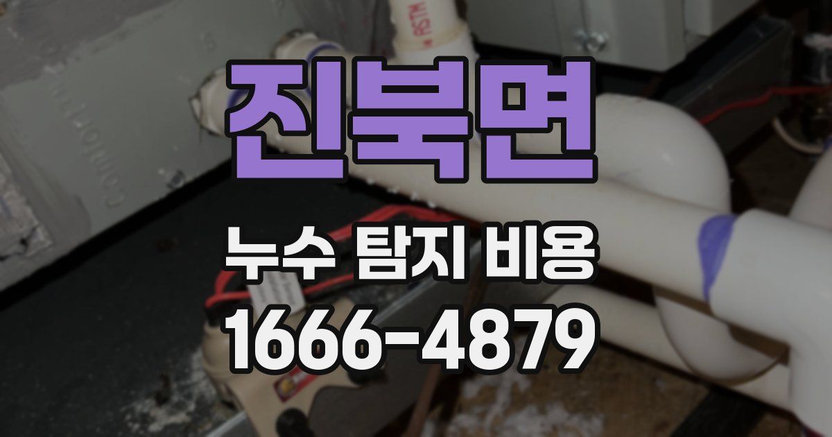 진북면 누수 탐지 비용