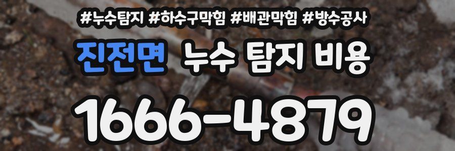 진전면 누수 탐지 비용