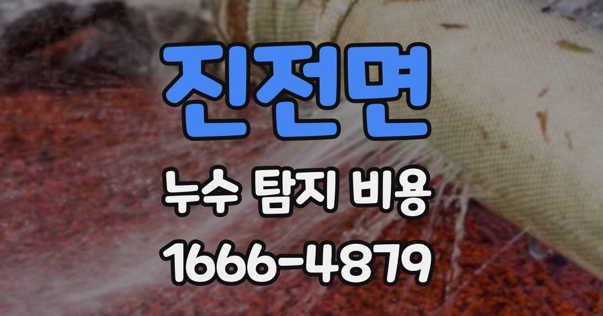 진전면 누수 탐지 비용