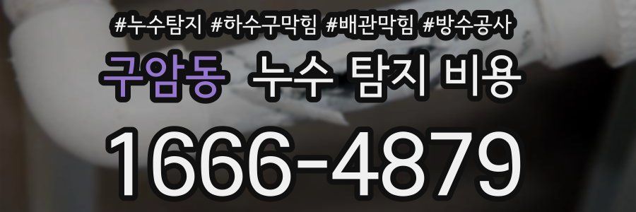 구암동 누수 탐지 비용