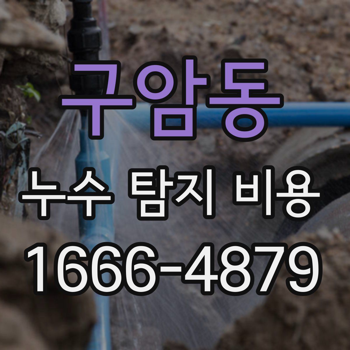 구암동 누수 탐지 비용
