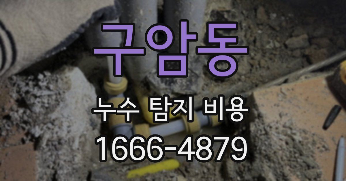 구암동 누수 탐지 비용