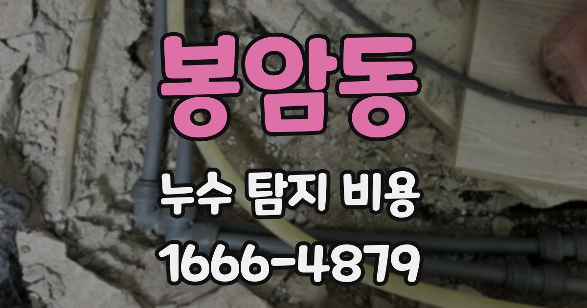 봉암동 누수 탐지 비용