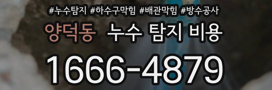 양덕동 누수 탐지 비용