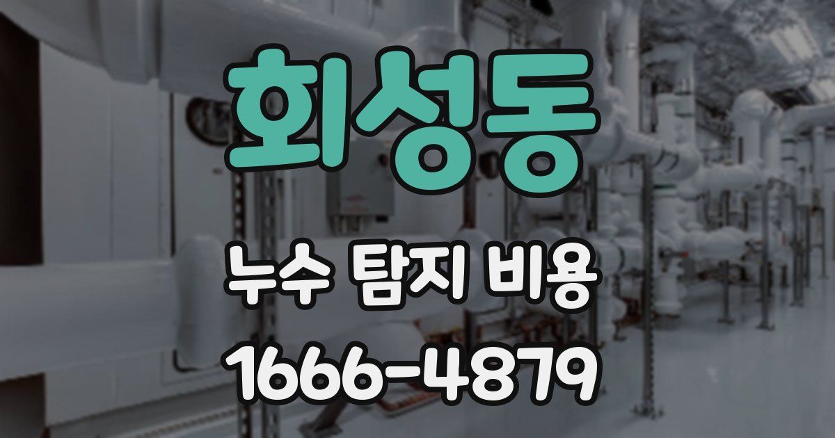 회성동 누수 탐지 비용