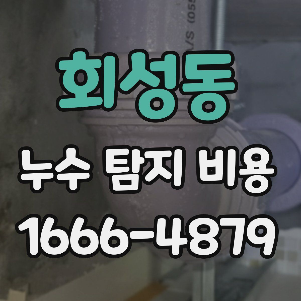 회성동 누수 탐지 비용