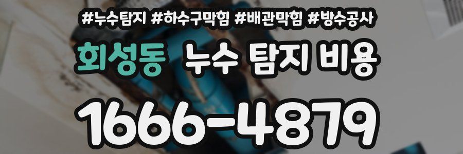 회성동 누수 탐지 비용