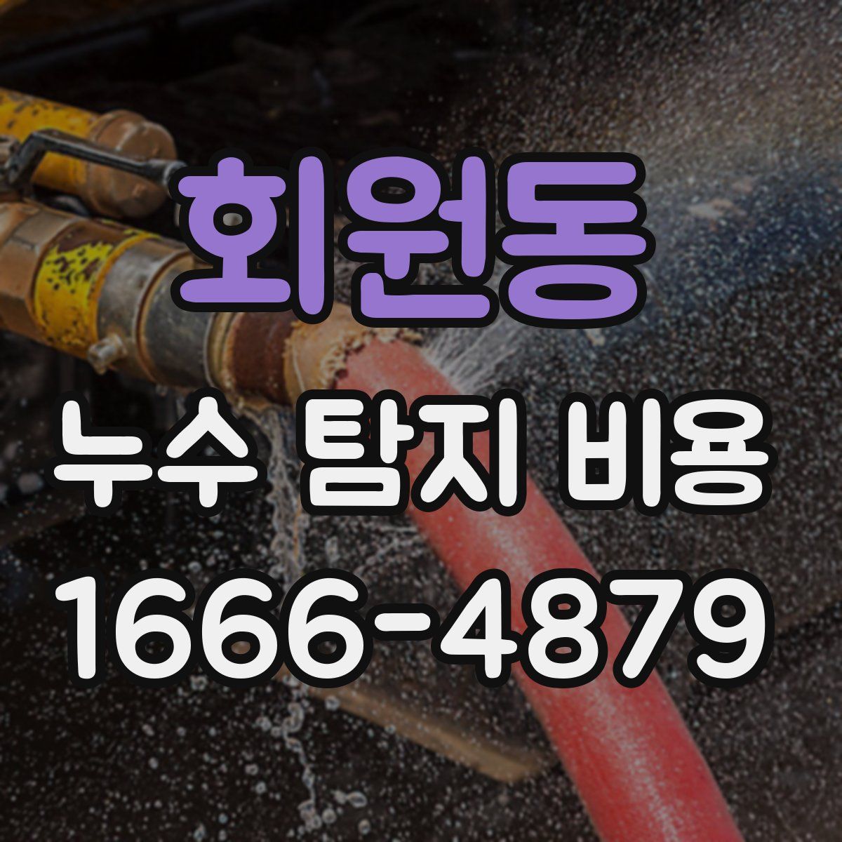 회원동 누수 탐지 비용