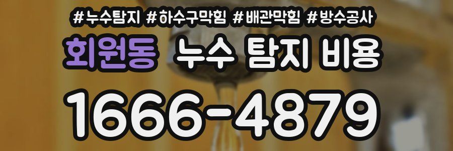 회원동 누수 탐지 비용