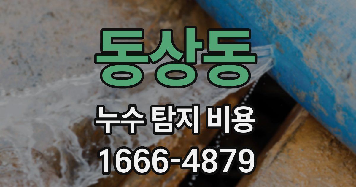 동상동 누수 탐지 비용