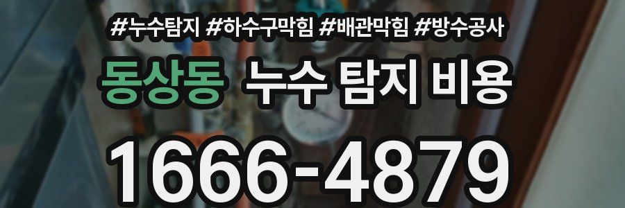 동상동 누수 탐지 비용