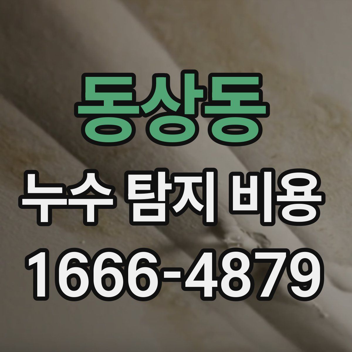 동상동 누수 탐지 비용