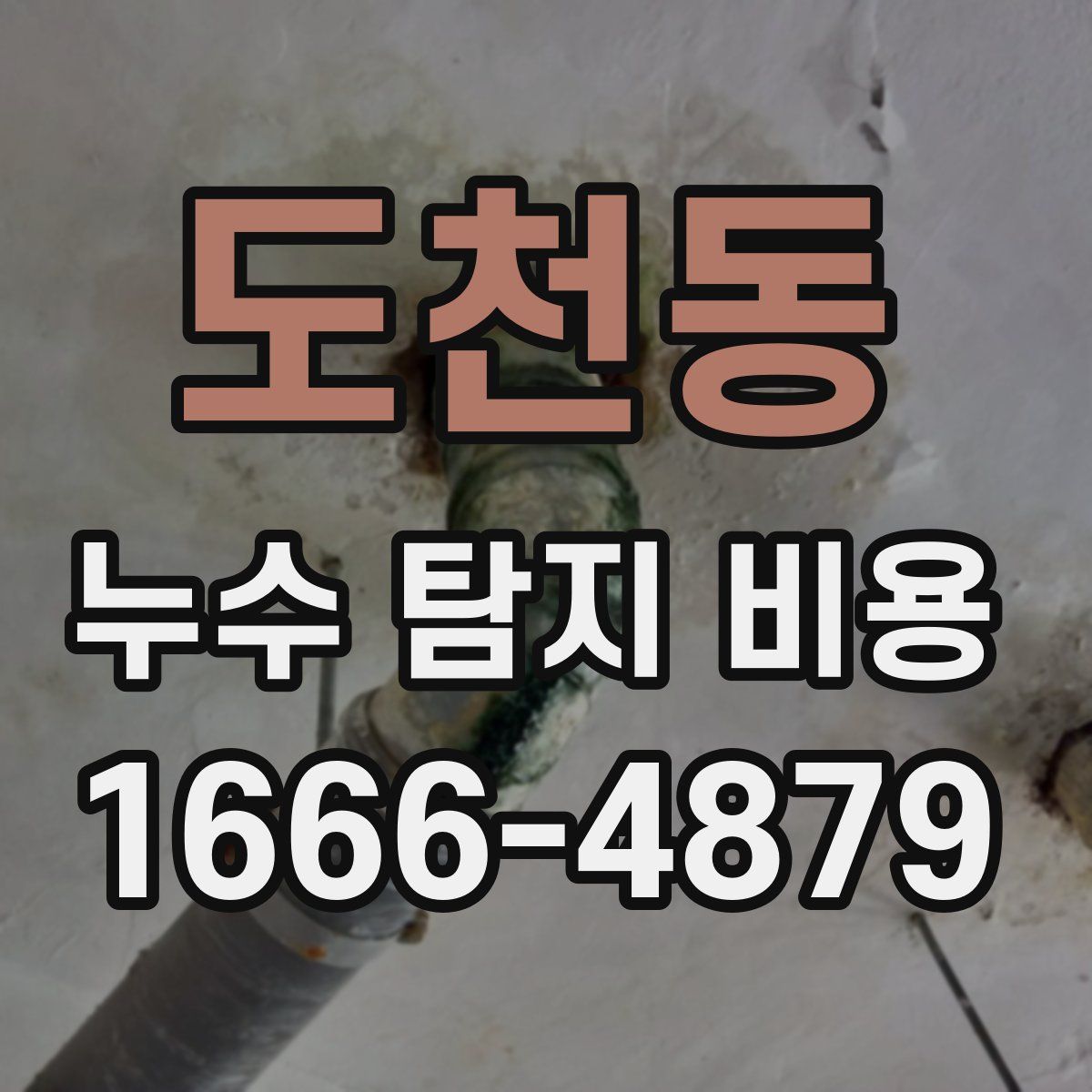 도천동 누수 탐지 비용