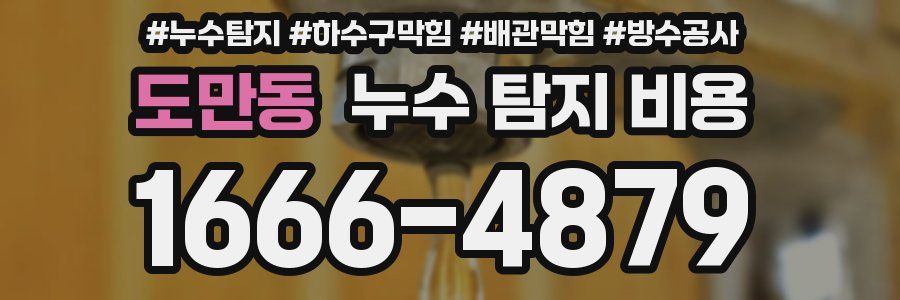 도만동 누수 탐지 비용
