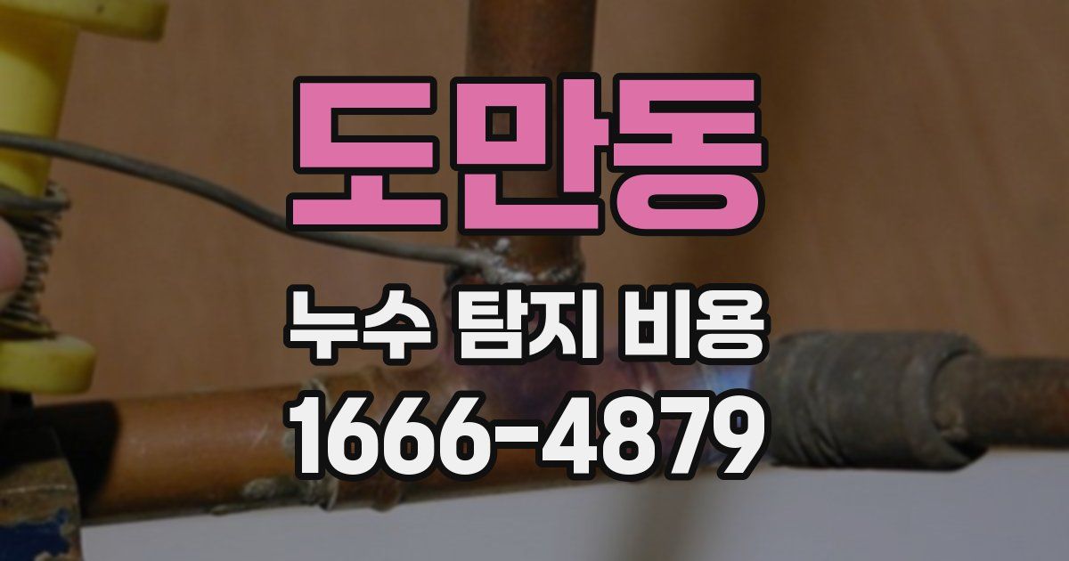 도만동 누수 탐지 비용