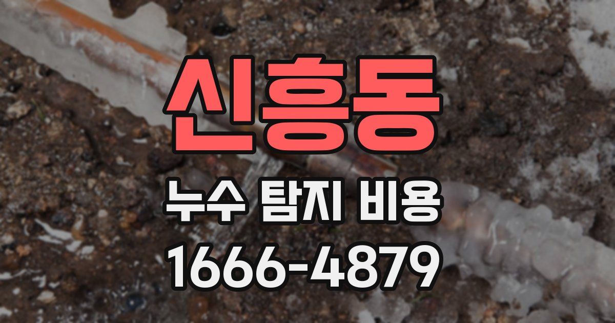 신흥동 누수 탐지 비용