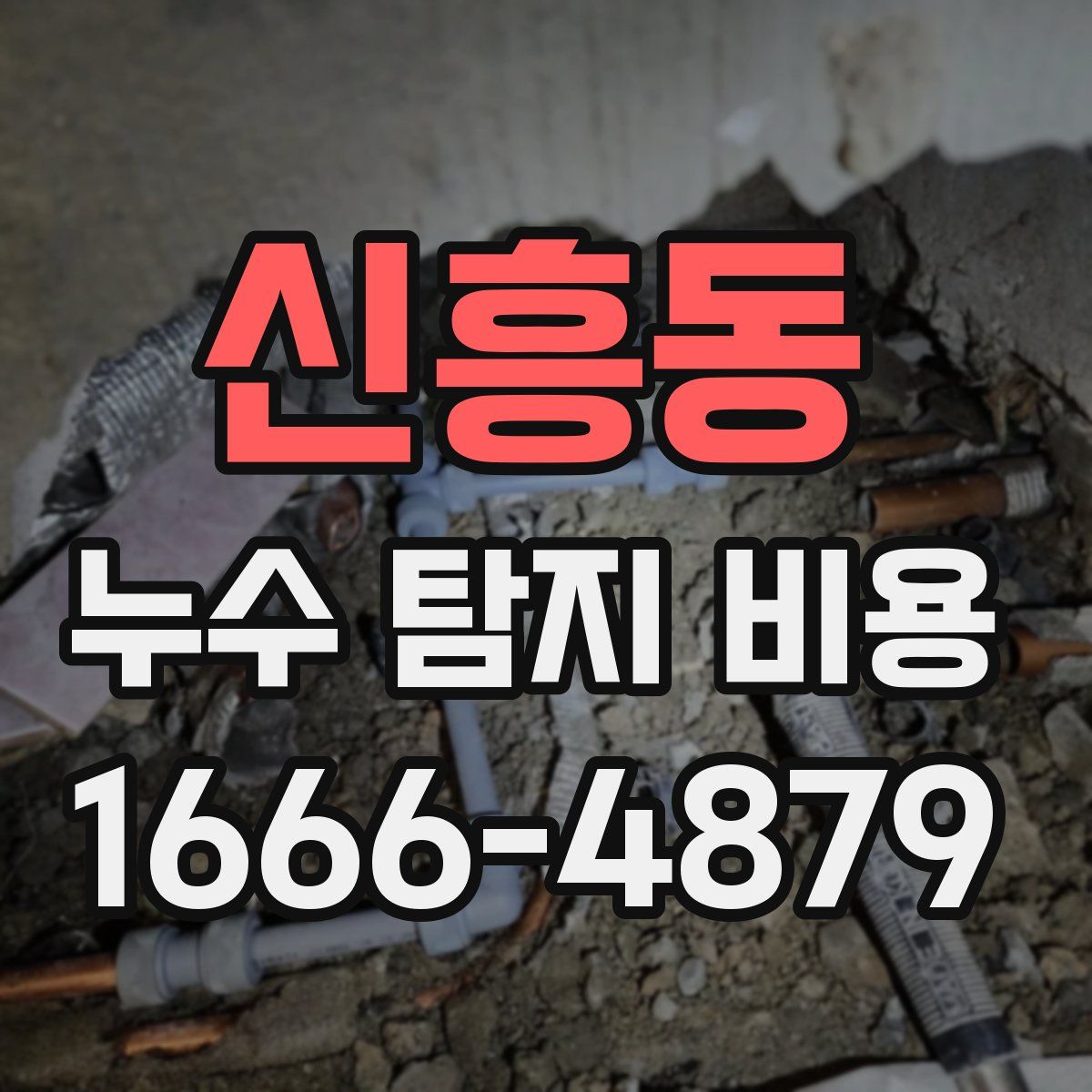 신흥동 누수 탐지 비용