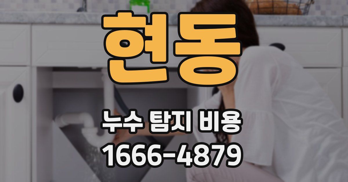 현동 누수 탐지 비용