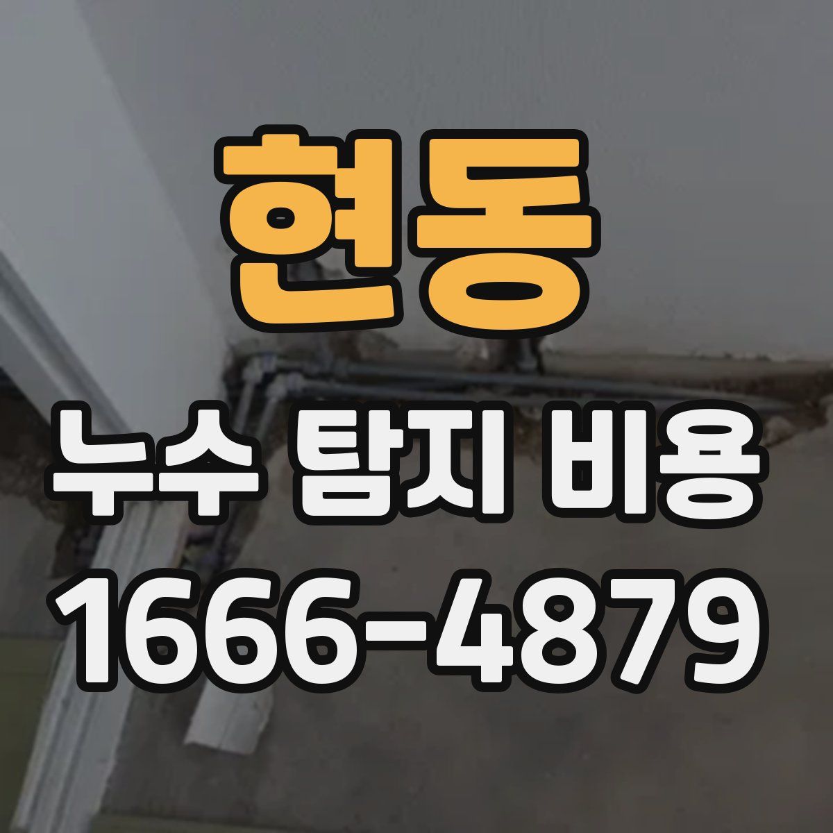 현동 누수 탐지 비용