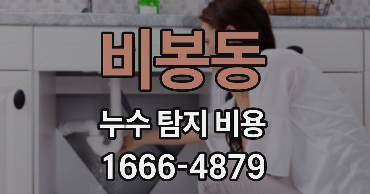 비봉동 누수 탐지 비용