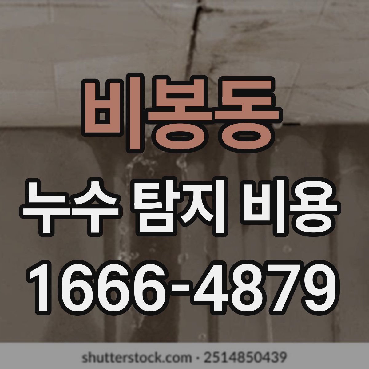 비봉동 누수 탐지 비용