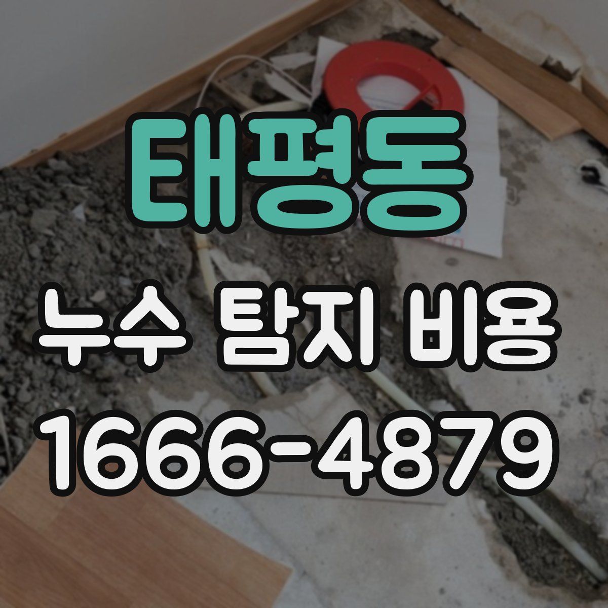 태평동 누수 탐지 비용