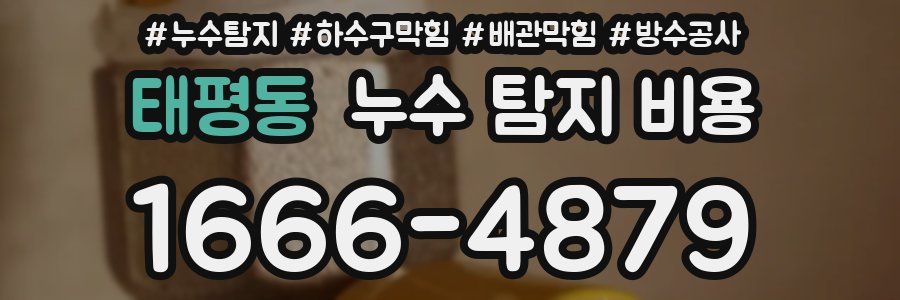 태평동 누수 탐지 비용