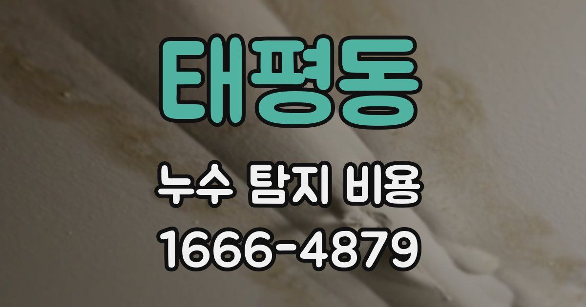 태평동 누수 탐지 비용
