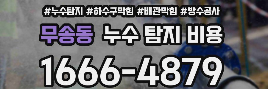 무송동 누수 탐지 비용