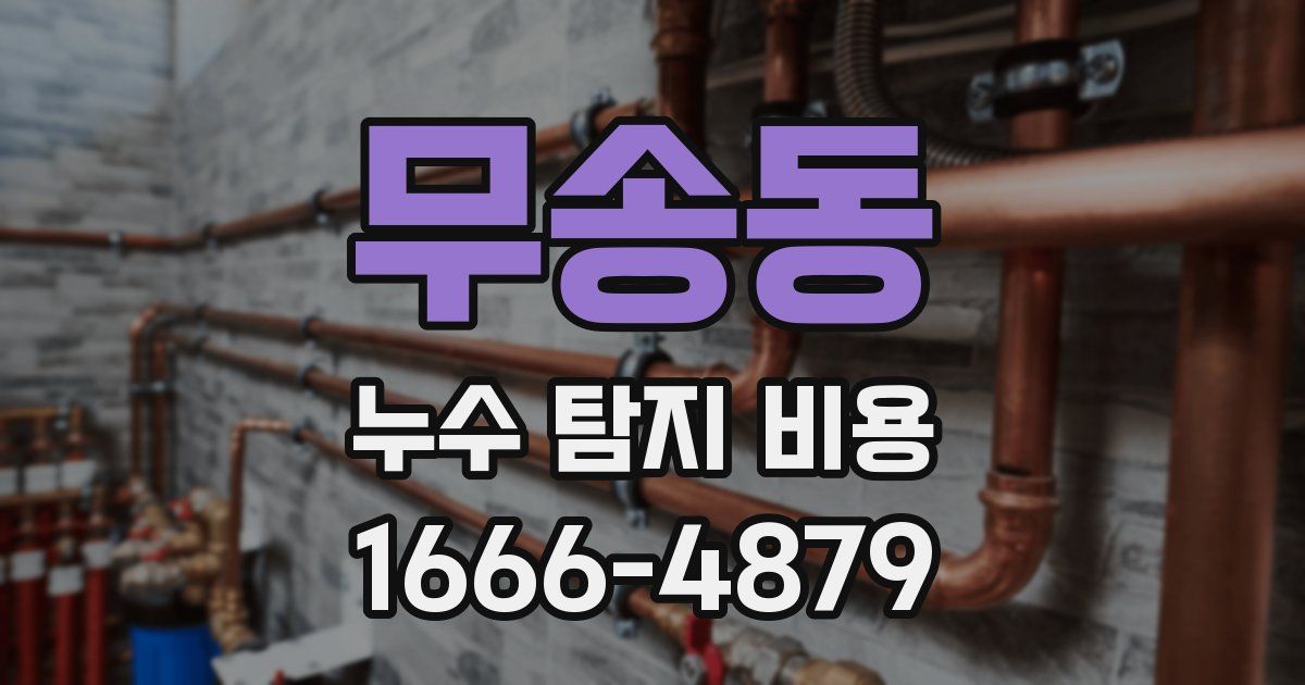 무송동 누수 탐지 비용