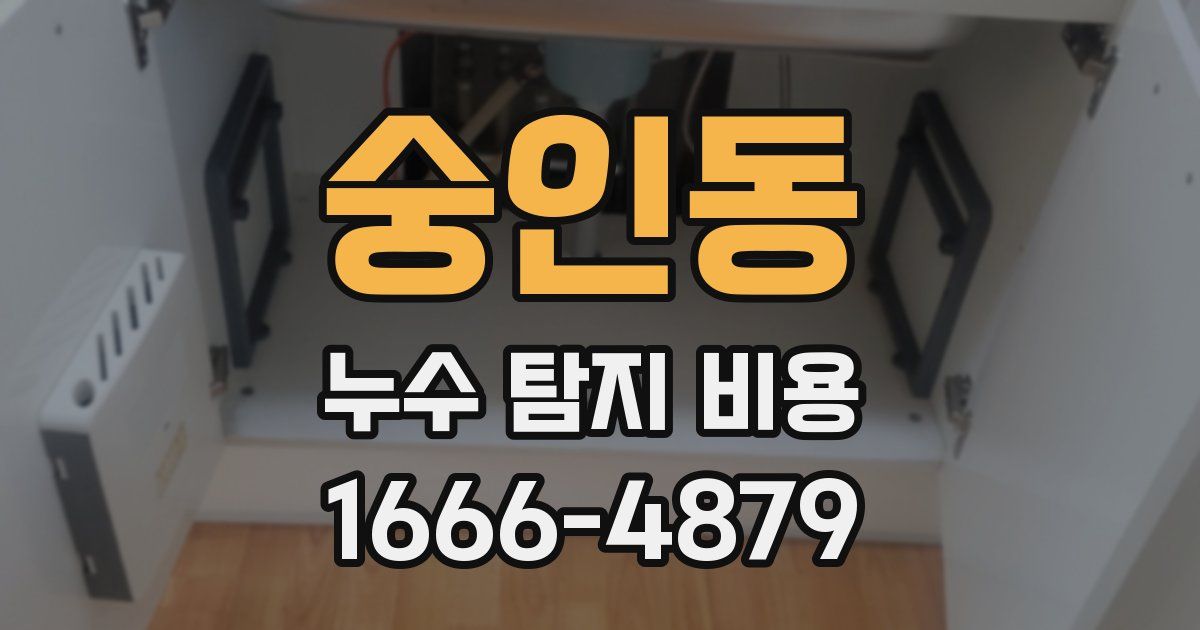 숭인동 누수 탐지 비용