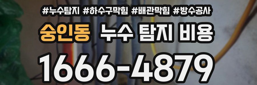 숭인동 누수 탐지 비용
