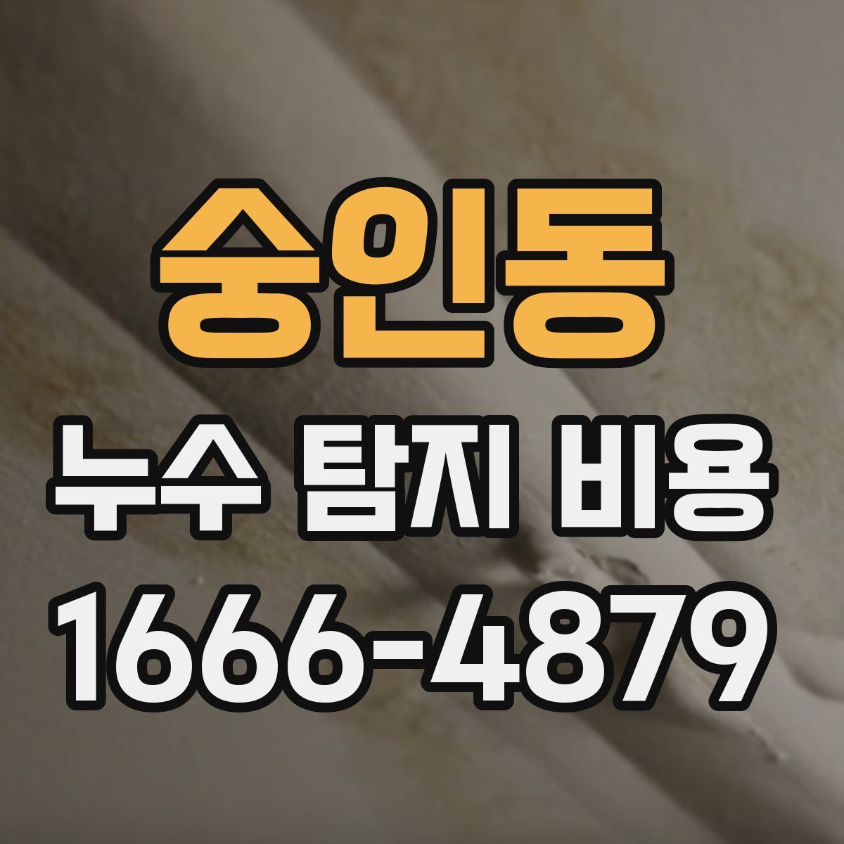 숭인동 누수 탐지 비용
